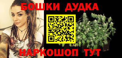 крисы Будённовск