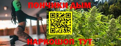 крисы Будённовск