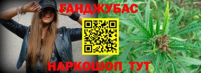 крисы Будённовск