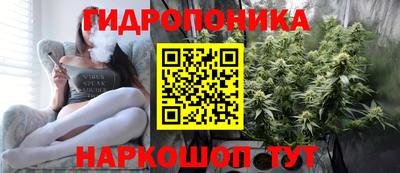 крисы Будённовск
