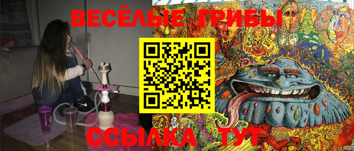 Псилоцибиновые грибы мухоморы Советская Гавань